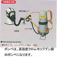 K30CS815