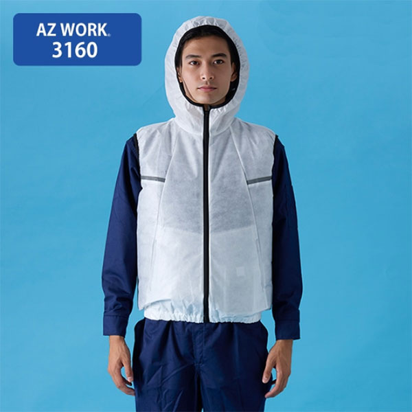 AZW3160
